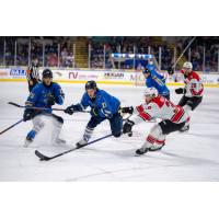 Springfield Thunderbirds' Dylan Coghlan and Joseph Duszak battle Charlotte Checkers' Andy Welinski