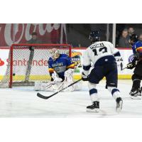 Worcester Railers' Jake Pivonka versus Reading Royals' Anson Thornton