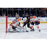 Greenville Swamp Rabbits' Jacob Ingham and Jake Flynn battle Jacksonville Icemen's Garrett Van Wyhe