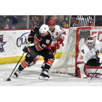 Kansas City Mavericks' Max Andreev and Allen Americans' Eric Williams in action