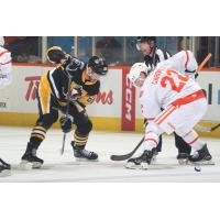 Lehigh Valley Phantoms center Rhett Gardner (right) faces off with the Wilkes-Barre/Scranton Penguins