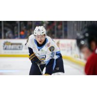 Toledo Walleye defenseman Matt Anderson