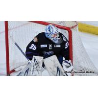 Orlando Solar Bears goaltender Evan Fitzpatrick