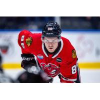 Rockford IceHogs left wing Mike Hardman