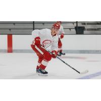 Grand Rapids Griffins forward Emmitt Finnie