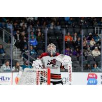 Tucson Roadrunners man the goal