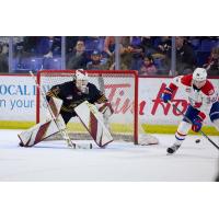 Vancouver Giants goaltender Brett Mirwald