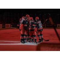 Grand Rapids Griffins on game night