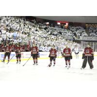 Tucson Roadrunners on game night