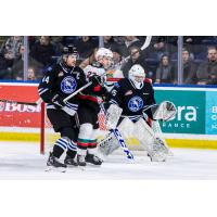 Kelowna Rockets battle the Wenatchee Wild