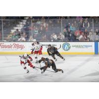 Grand Rapids Griffins' Elmer Soderblom versus Chicago Wolves' Domenick Fensore