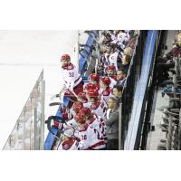 Allen Americans on game night