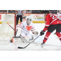 Lehigh Valley Phantoms goaltender Felix Sandström