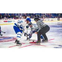 Wichita Thunder face off with the Tulsa Oilers