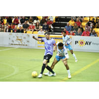 Baltimore Blast's Tony Donatelli in action