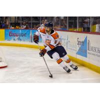 Greenville Swamp Rabbits' Max Martin in action