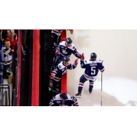 South Carolina Stingrays celebrate win