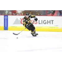 Wheeling Nailers' Justin McRae in action