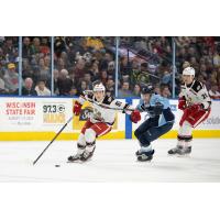 Grand Rapids Griffins' Amadeus Lombardi and Elmer Soderblom battle Milwaukee Admirals' Jake Livingstone