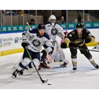 Worcester Railerss' Zsombor Garat and Newfoundland Growlers' Tyler Weiss in action