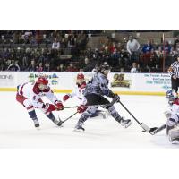 Rapid City Rush battle the Allen Americans