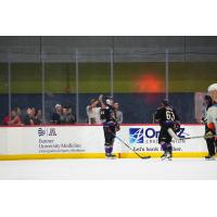 Tucson Roadrunners' Jan Jenik and Colin Theisen on the ice