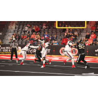 Jacksonville Sharks battle the Vegas Knight Hawks