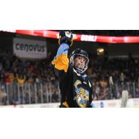 Toledo Walleye salute the home crowd