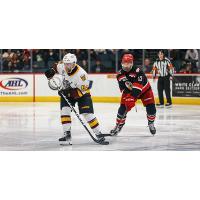 Grand Rapids Griffins left wing Zach Aston-Reese (right) vs. the Chicago Wolves