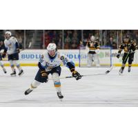 Toledo Walleye defenseman Riley McCourt