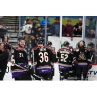 Tucson Roadrunners share a laugh