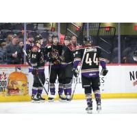 Tucson Roadrunners gather following a goal