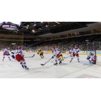 Kitchener Rangers battle the Erie Otters