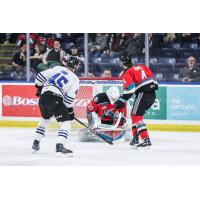 Wenatchee Wild's Steven Arp versus Kelowna Rockets' Jari Kykkanen and Caden Price