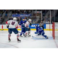 Springfield Thunderbirds right wings Mathias Laferriere (left) and Will Bitten face the Toronto Marlies