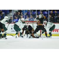 Vancouver Giants battle the Everett Silvertips