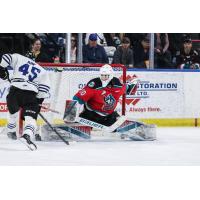 Wenatchee Wild's Steven Arp versus Kelowna Rockets' Jari Kykkanen