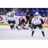 Vancouver Giants goaltender Brett Mirwald makes a stop