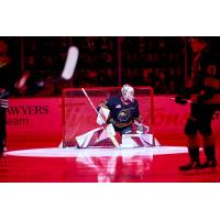 Vancouver Giants goaltender Brett Mirwald