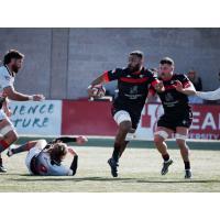 Utah Warriors in action