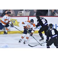 Greenville Swamp Rabbits' Tanner Eberle and Nick Prkusic versus Orlando Solar Bears' Alex Frye and Marc-Andre Gaudet