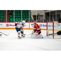 Springfield Thunderbirds' Hugh McGing versus Belleville Senators' Kevin Mandolese