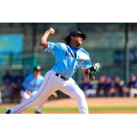 Columbia Fireflies' Mauricio Veliz in action