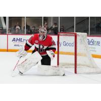 Belleville Senators' Kevin Mandolese on game night