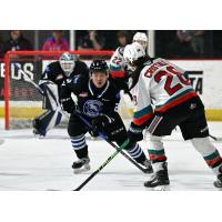 Wenatchee Wild's Landon Young versus Kelowna Rocket's Andrew Cristall