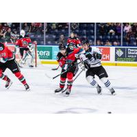 Kelowna Rockets battle the Wenatchee Wild