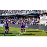 Louisville City FC celebrates a goal