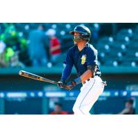 Daniel Vazquez of the Columbia Fireflies