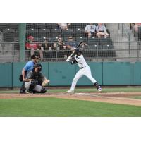 Tri-City Dust Devils' Kevin Bruggeman at bat