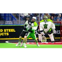 Saskatchewan Rush goaltender Frank Scigliano vs. the Calgary Roughnecks